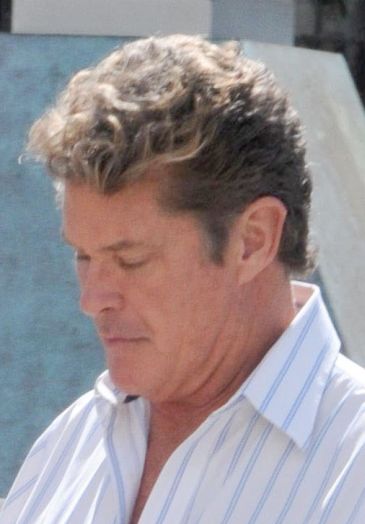 David Hasselhoff, alkohol